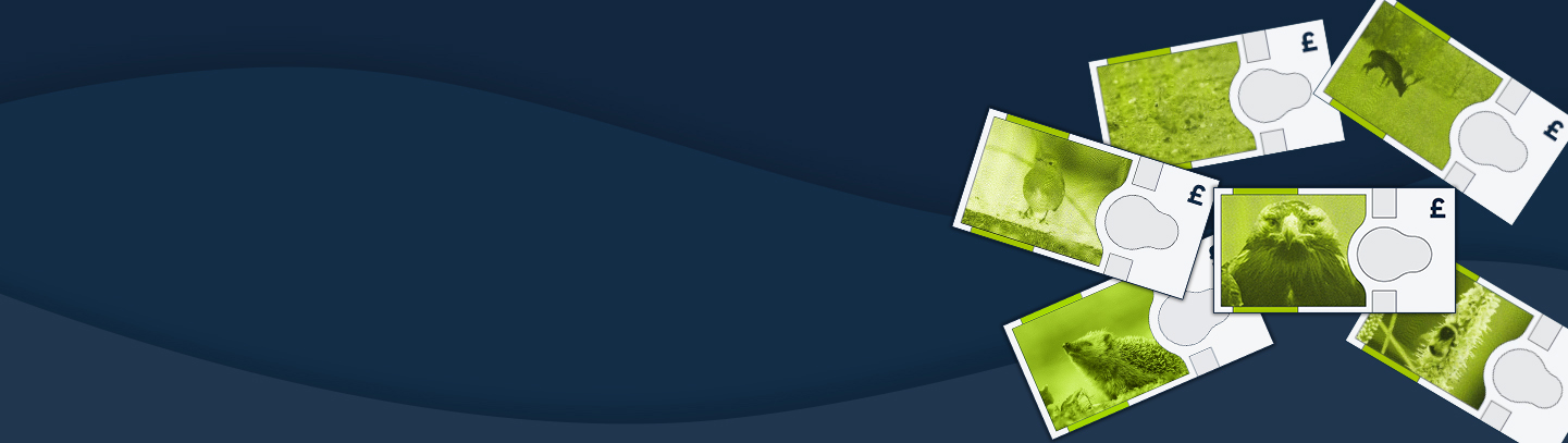 Wildlife to feature on next series of  Bank of England banknotes