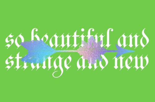 so beautiful and strange and new February museum late event image